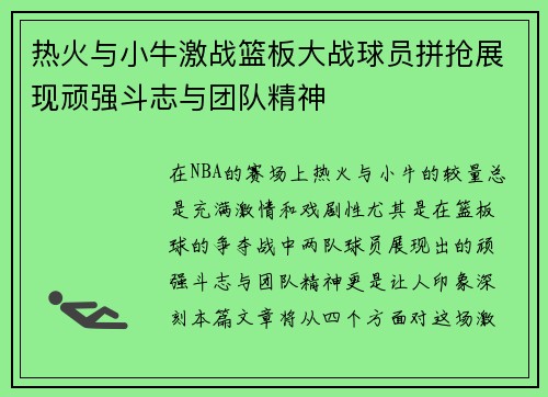 热火与小牛激战篮板大战球员拼抢展现顽强斗志与团队精神